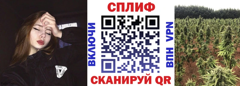 Сколько стоит Саянск Псилоцибиновые грибы  Cocaine  Меф мяу мяу  Канабис 