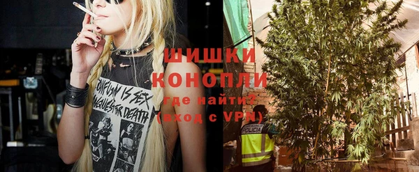 ПСИЛОЦИБИНОВЫЕ ГРИБЫ Арсеньев