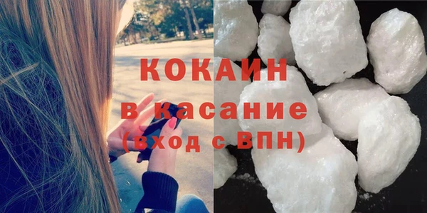ПСИЛОЦИБИНОВЫЕ ГРИБЫ Арсеньев