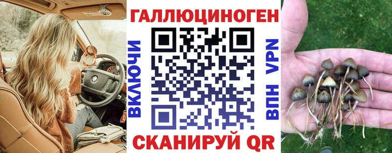 Галлюциногенные грибы Psilocybine cubensis  МЕГА ссылка  Саянск 